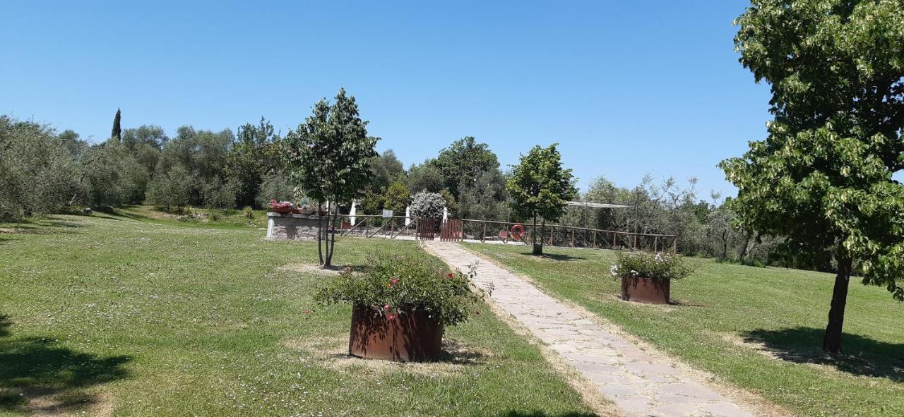 Camere Con Vista In Valdichiana Marciano della Chiana 외부 사진